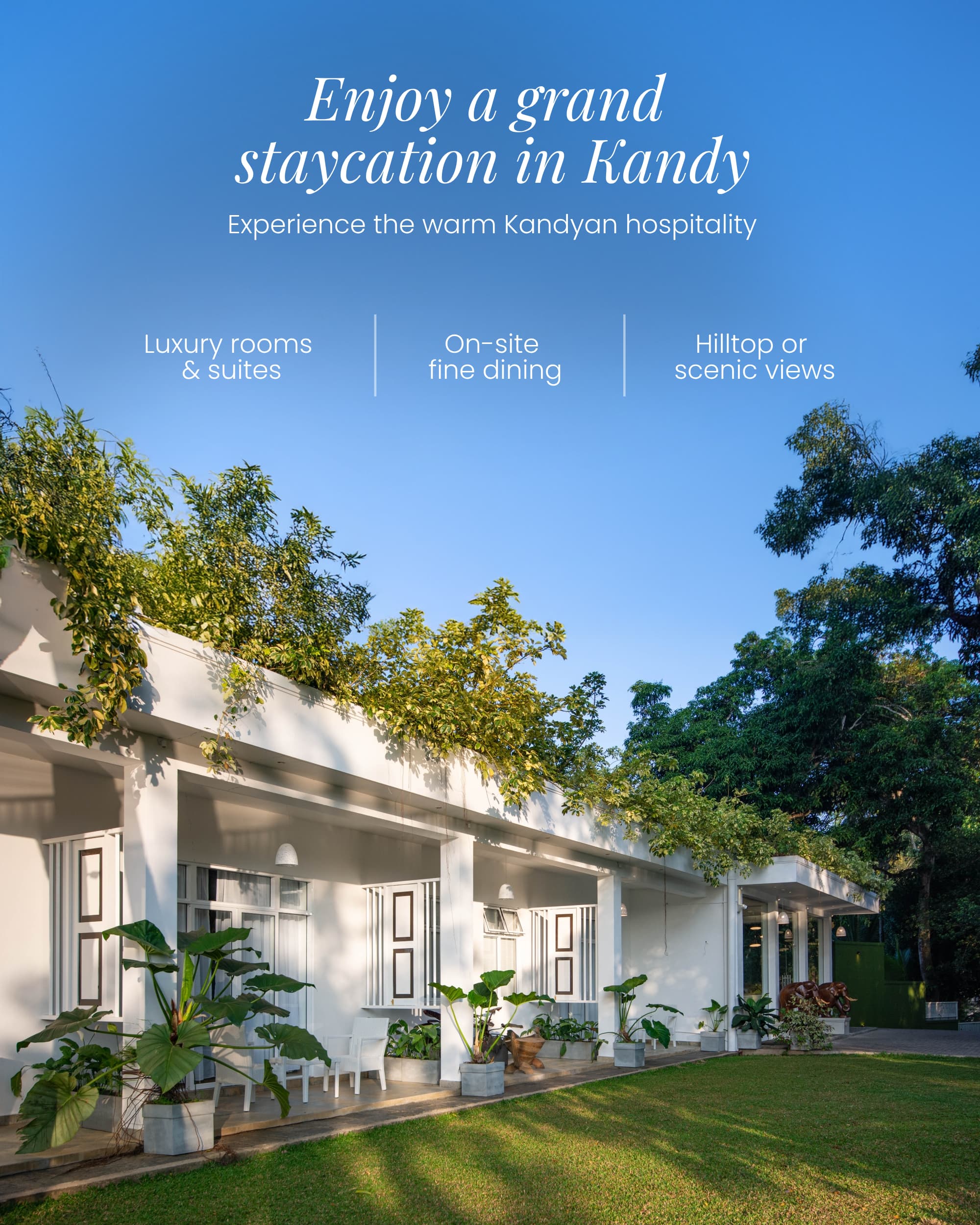 Water Spring Hotel – Hospitality Marketing & Banquet Growth